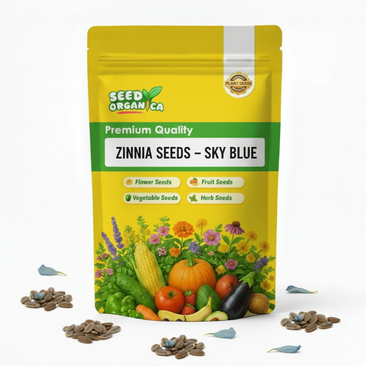 Zinnia Seeds – Sky Blue