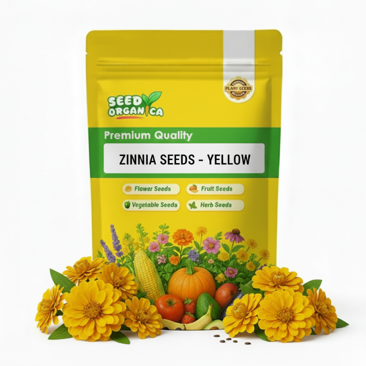 Zinnia Seeds – Yellow