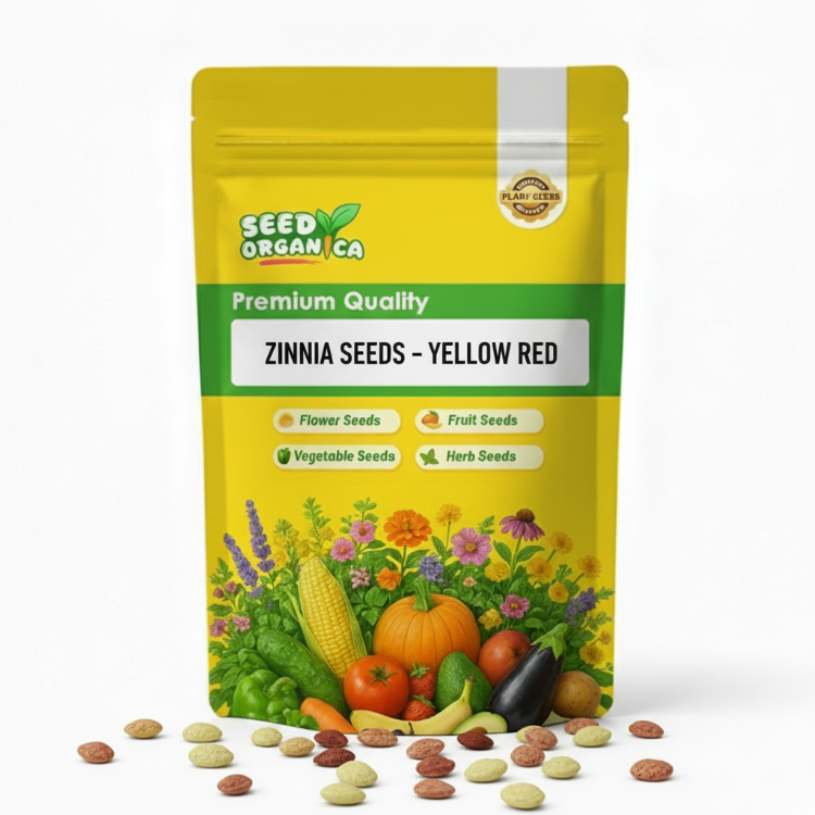 Zinnia Seeds – Yellow Red