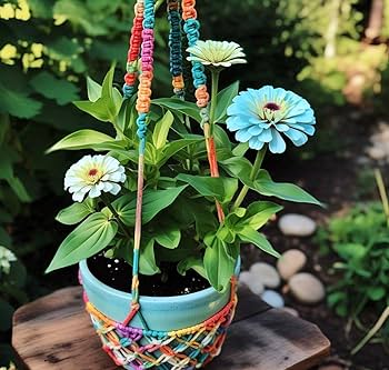 Zinnia Seeds – Sky Blue