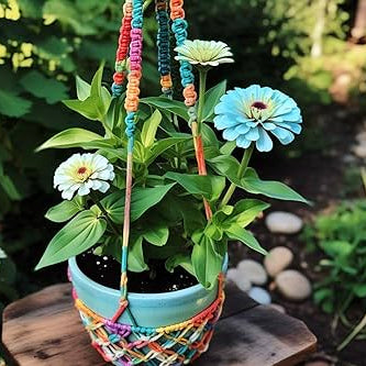Zinnia Seeds – Sky Blue