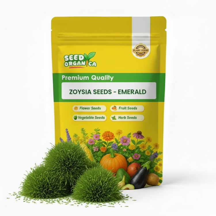 Zoysia Seeds - Emerald