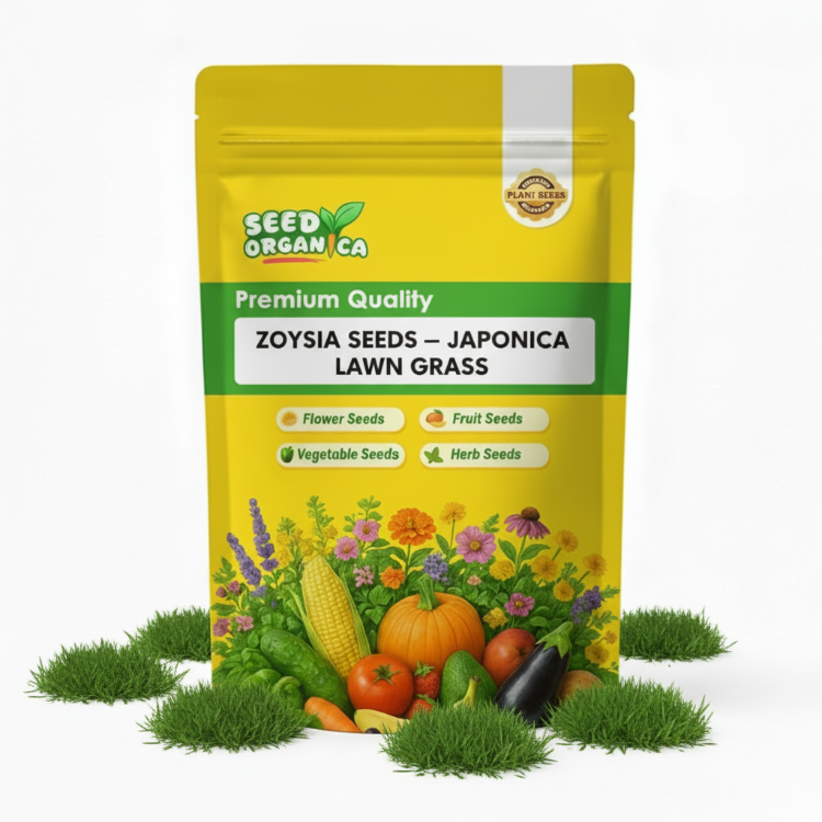 Zoysia Seeds – Japonica Lawn Grass
