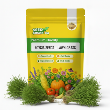 Zoysia Seeds – Lawn Grass