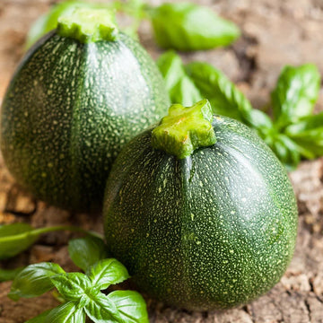 Zucchini Seeds – Round