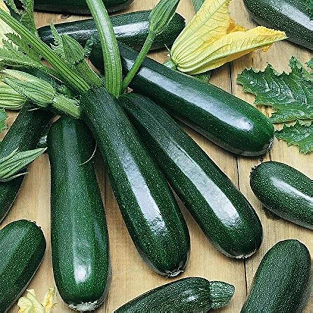 Zucchini Seeds