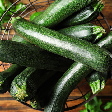Zucchini Seeds – Dark Green