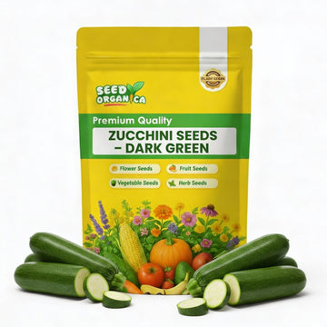 Zucchini Seeds – Dark Green