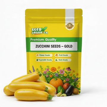 Zucchini Seeds – Gold