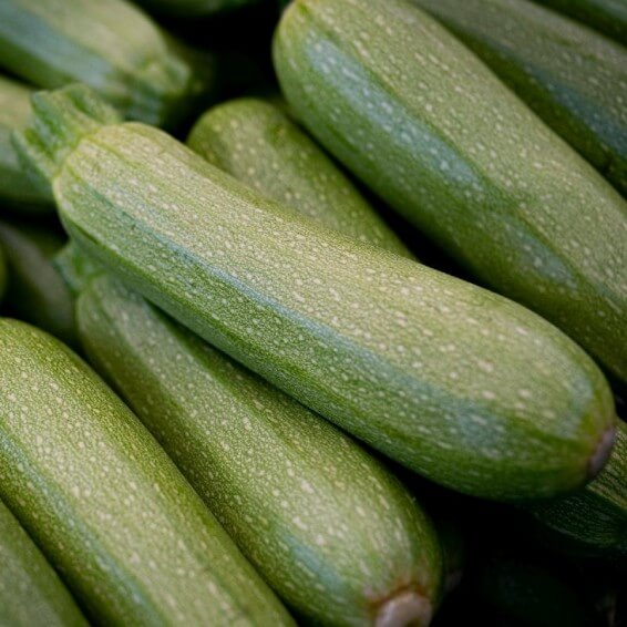Zucchini Seeds – Gray