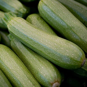 Zucchini Seeds – Gray
