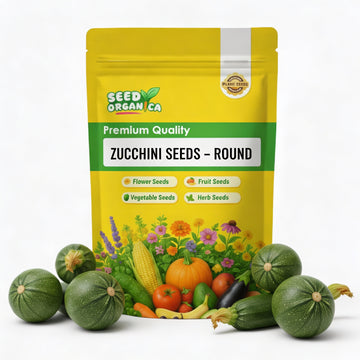 Zucchini Seeds – Round