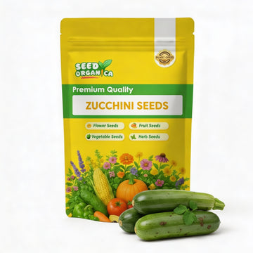 Zucchini Seeds