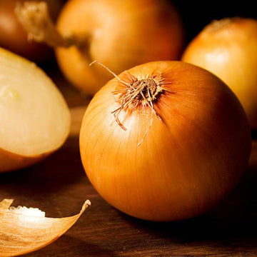 Onion Seeds – Sweet Yellow