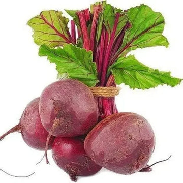 Beetroot Seeds – Beta Vulgaris