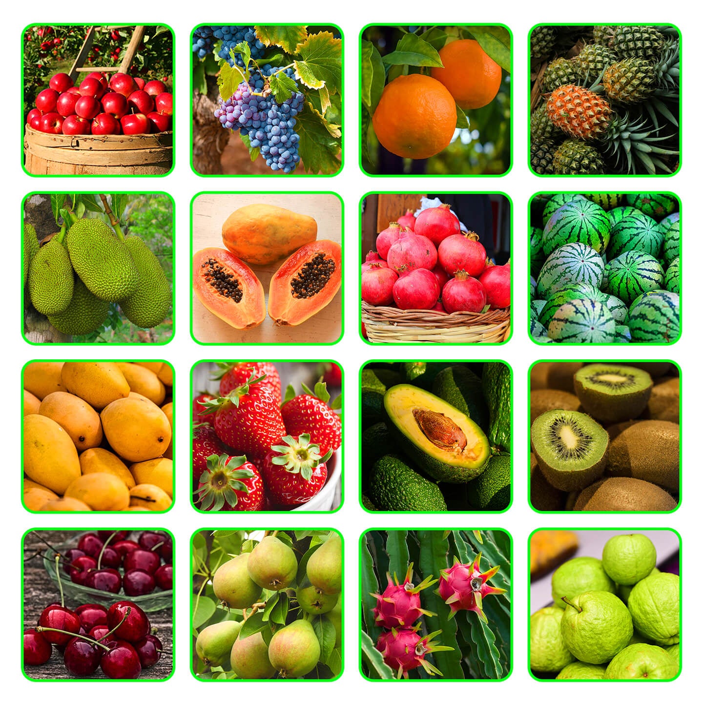 where to buy albion strawberry seeds Albion Strawberry Seeds