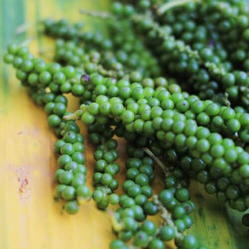 Green Pepper Seeds - Vegetable Plant