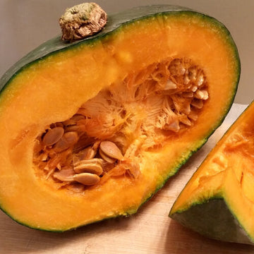 Korean Pumpkin Seeds – Vegetable Plant