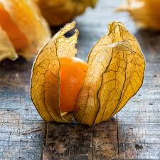 Tomatillo Seeds-Orange