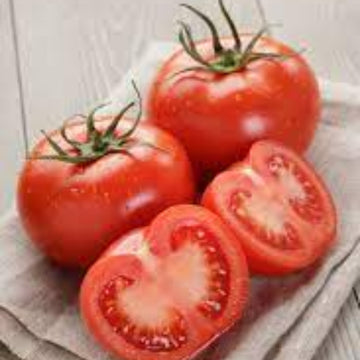 Tomato Seeds – ACE