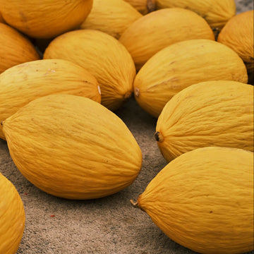 Melon Seeds – Crenshaw