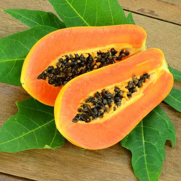 Papaya Seeds – Caribbean Red