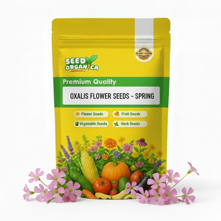 oxalis flower seeds -  Spring