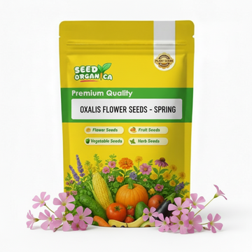 oxalis flower seeds -  Spring