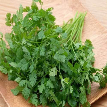  parsley Chervil Seeds – Garden
