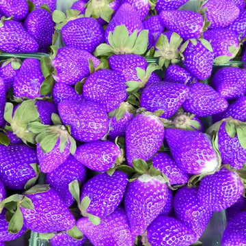 Strawberry Seeds – Purple