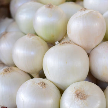 Onion Seeds – Paris Silverskin Pearl