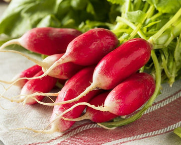Radish Seeds – Rapid Yiel