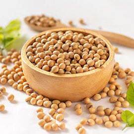 Soybean Seeds – Protein-Rich